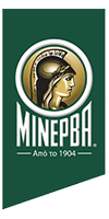 λογότυπο Minerva